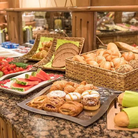 Hotel Alphotel Garni Salner 4*