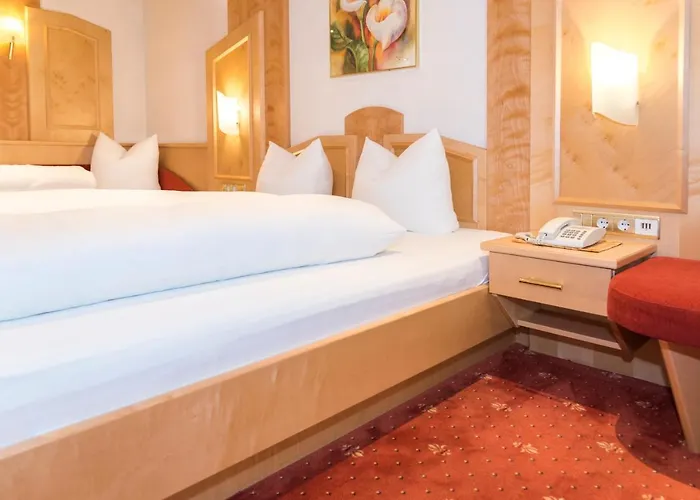 Hotel Alphotel Garni Salner