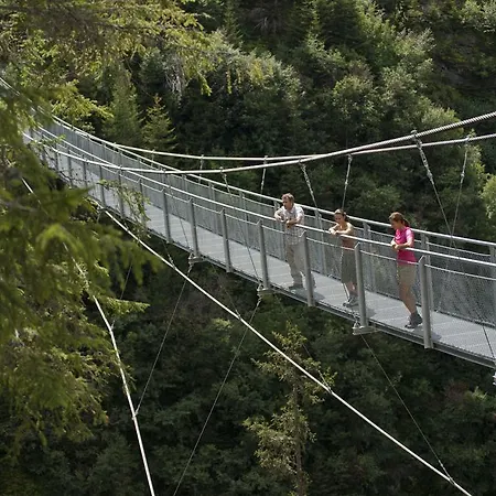 ホテル Alphotel Garni Salner