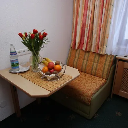 ホテル Alphotel Garni Salner