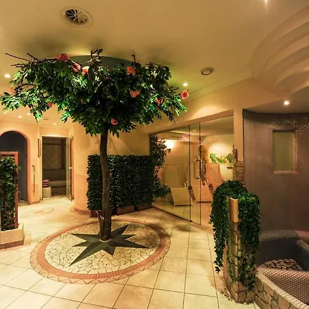 Alphotel Garni Salner Hotel 4*
