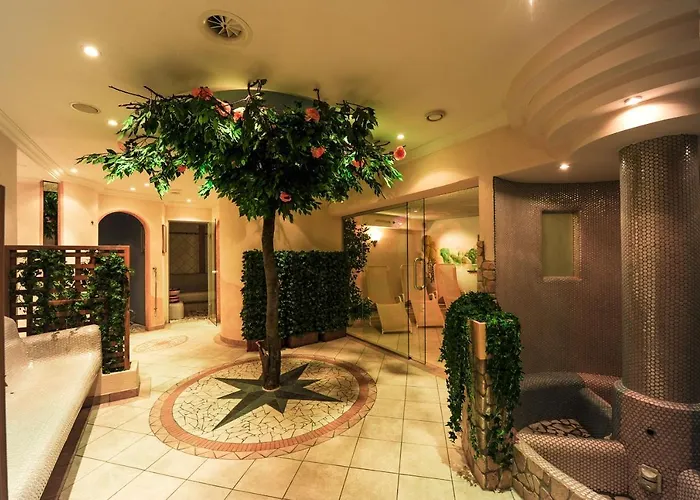 Alphotel Garni Salner Hotel 4*