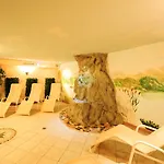Alphotel Garni Salner Hotel 4*